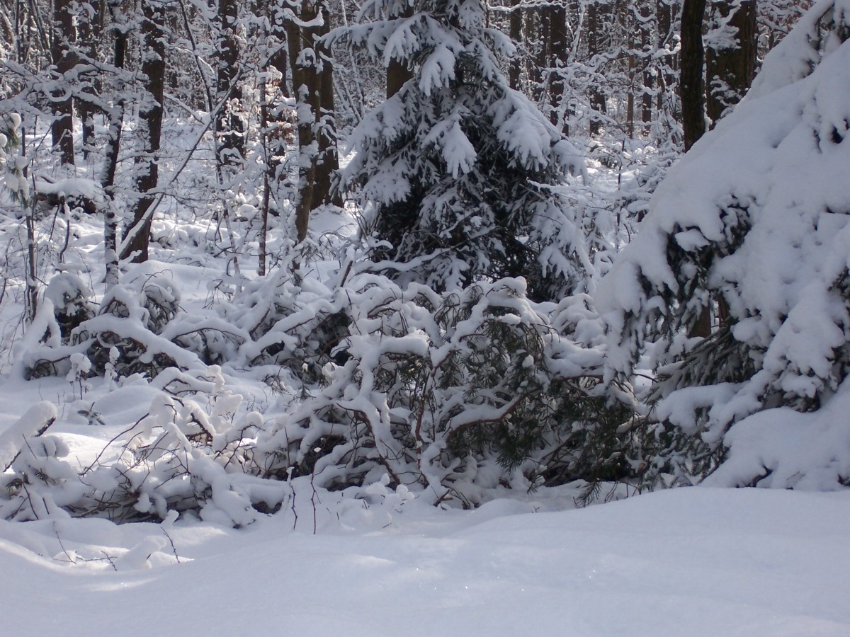 Einmal noch im meterhohem Schnee waten