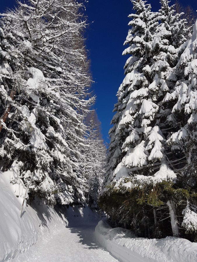 ein Wintermärchen