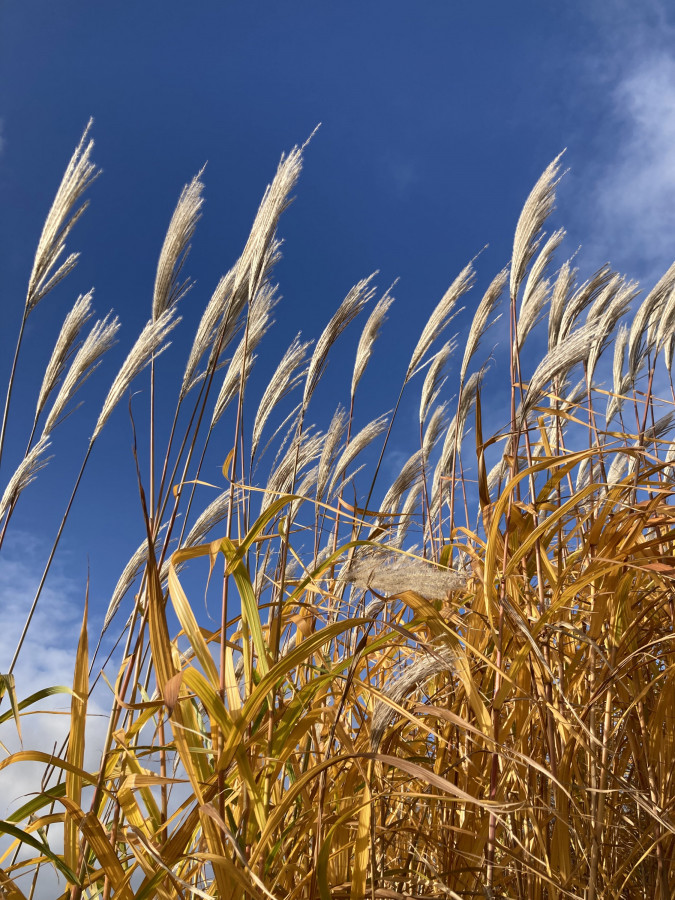 Allerschönstes Herbstwetter