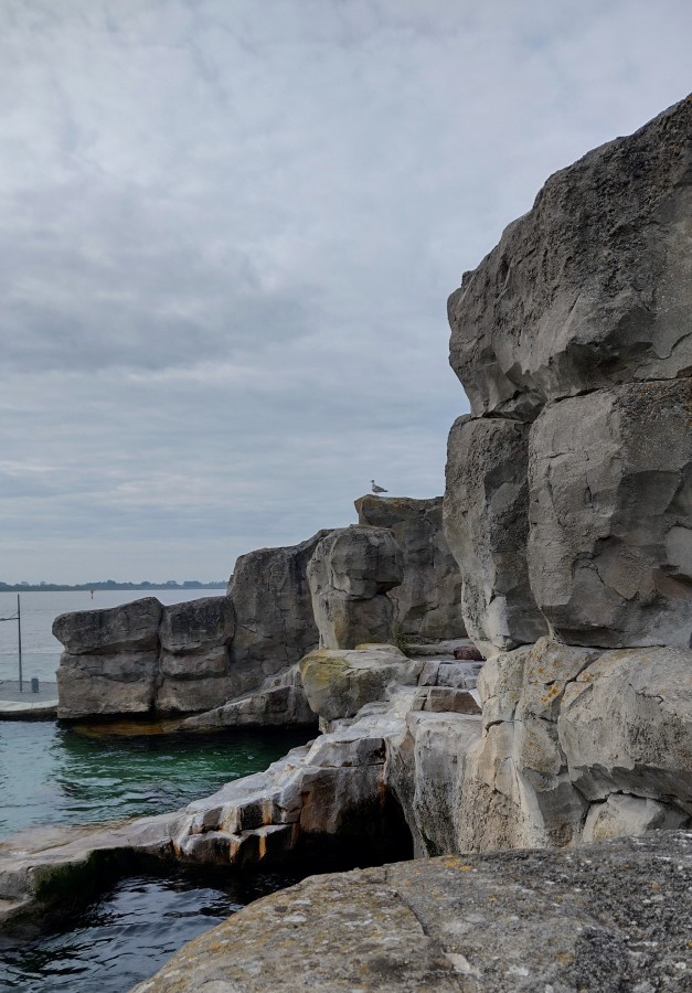 Zoo am Meer