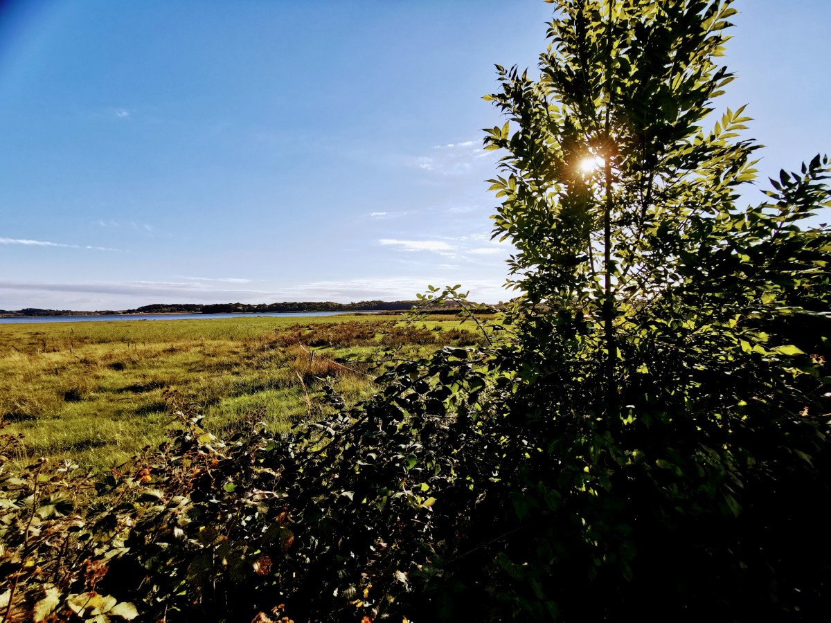 Schönes Licht