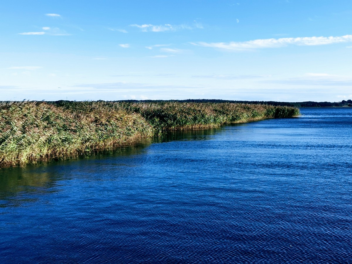 Blaue Ruhe