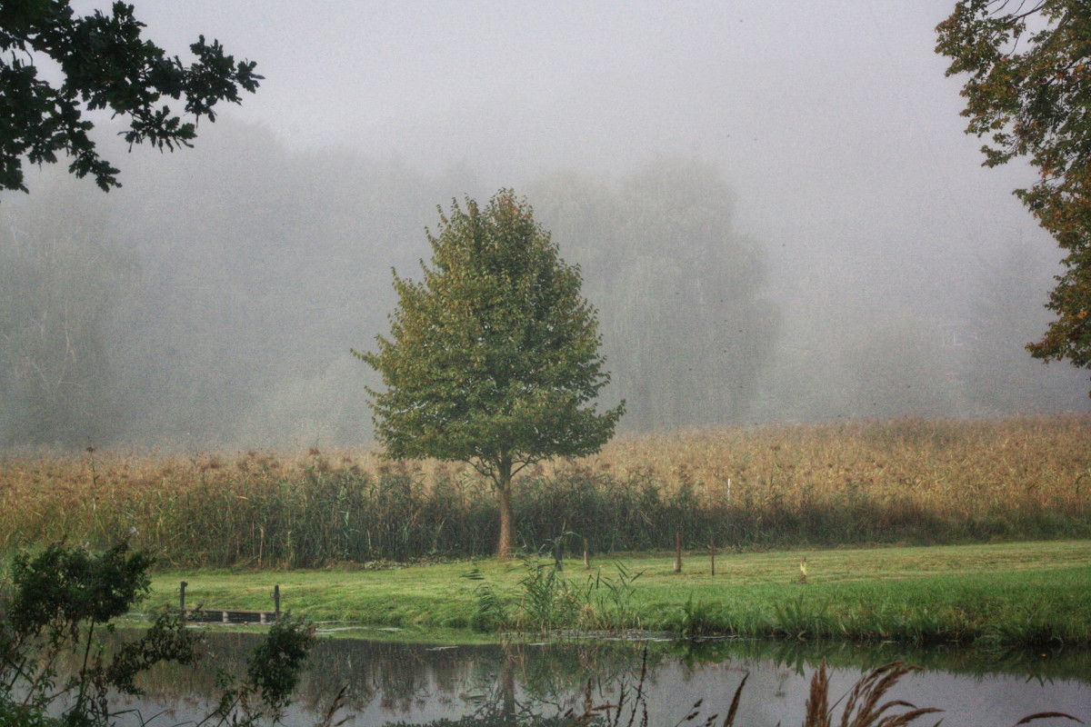 In der Uckermark